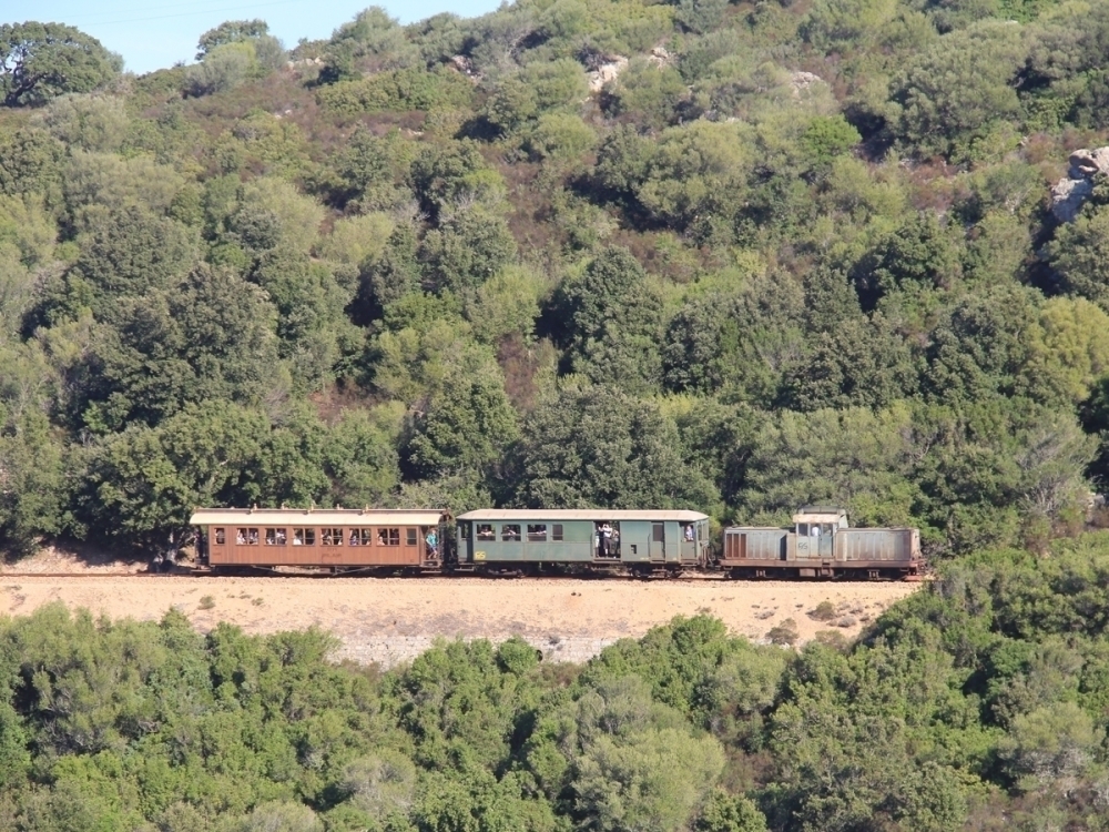 THE GREEN TRAIN - Costa del sole travel 